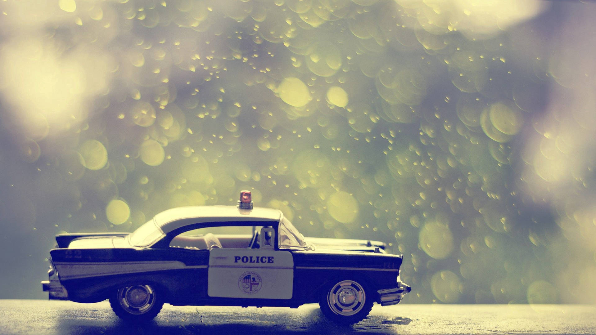 Police 2560X1440 Wallpaper and Background Image
