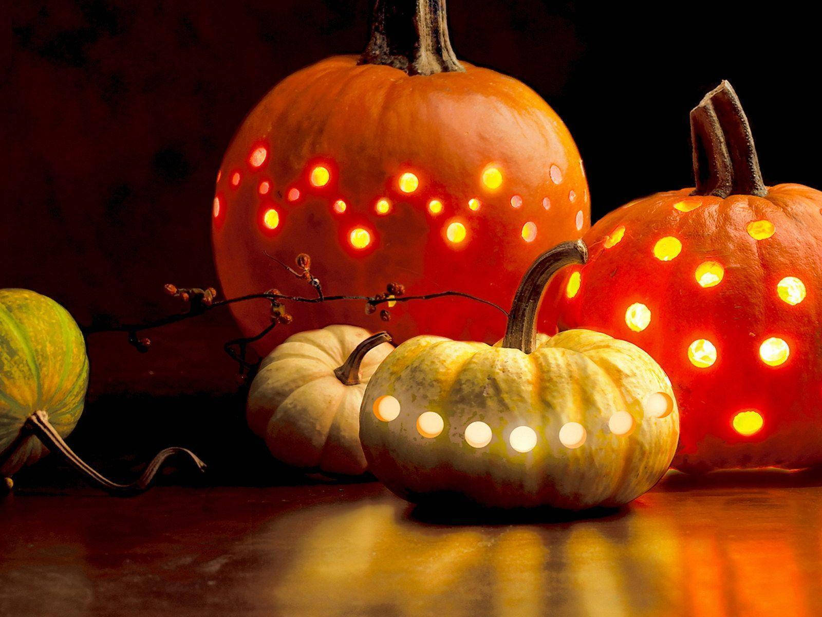 Pumpkin 1600X1200 Wallpaper and Background Image