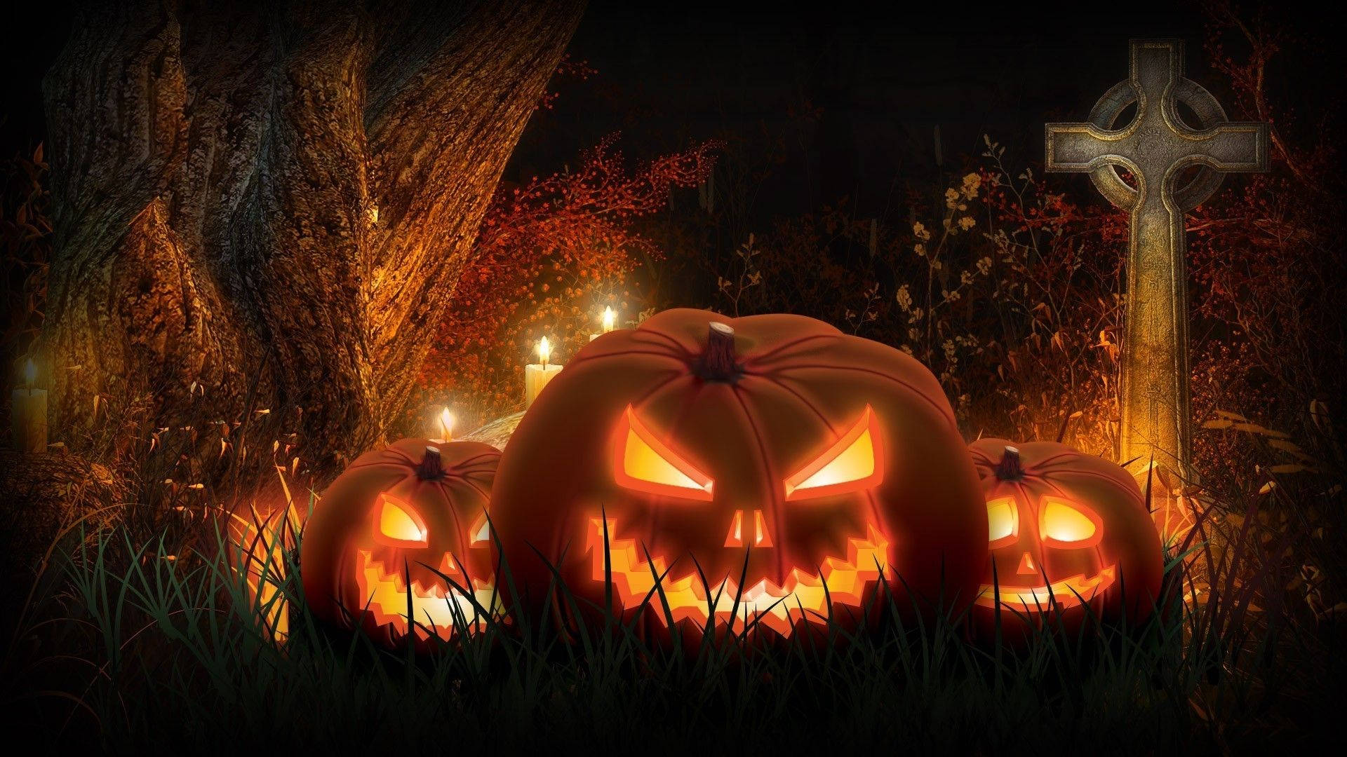 Pumpkin 1920X1080 Wallpaper and Background Image