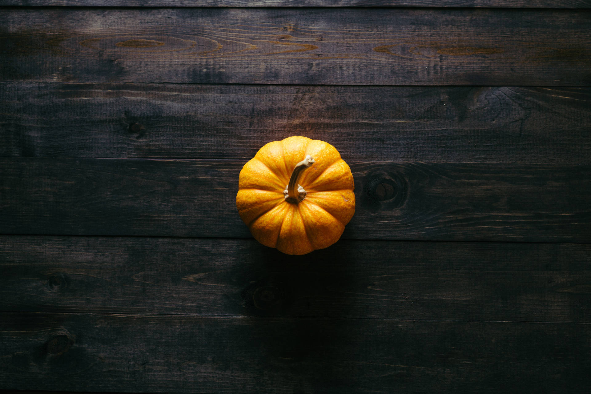 Pumpkin 5410X3607 Wallpaper and Background Image