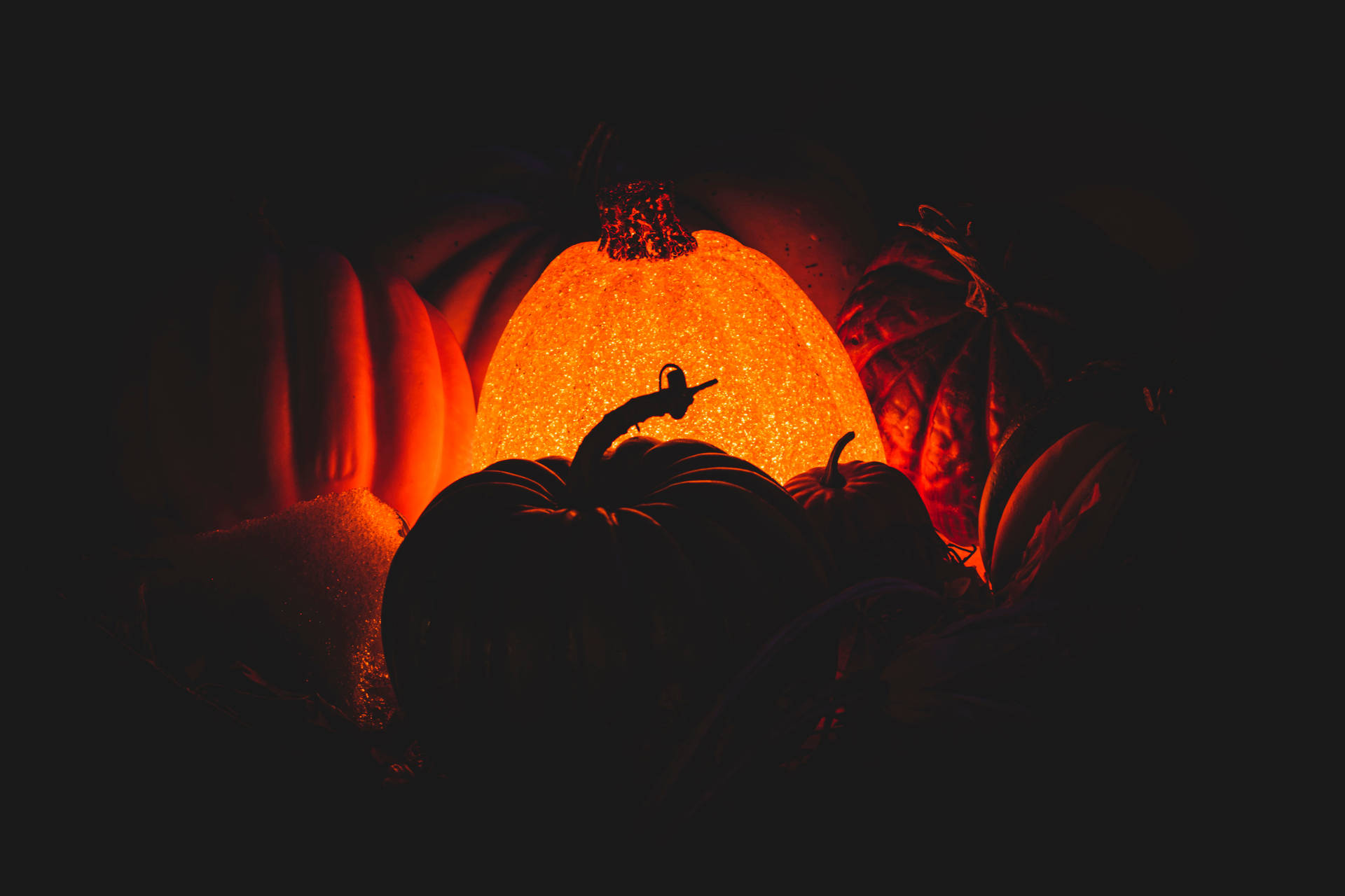 Pumpkin 6000X4000 Wallpaper and Background Image