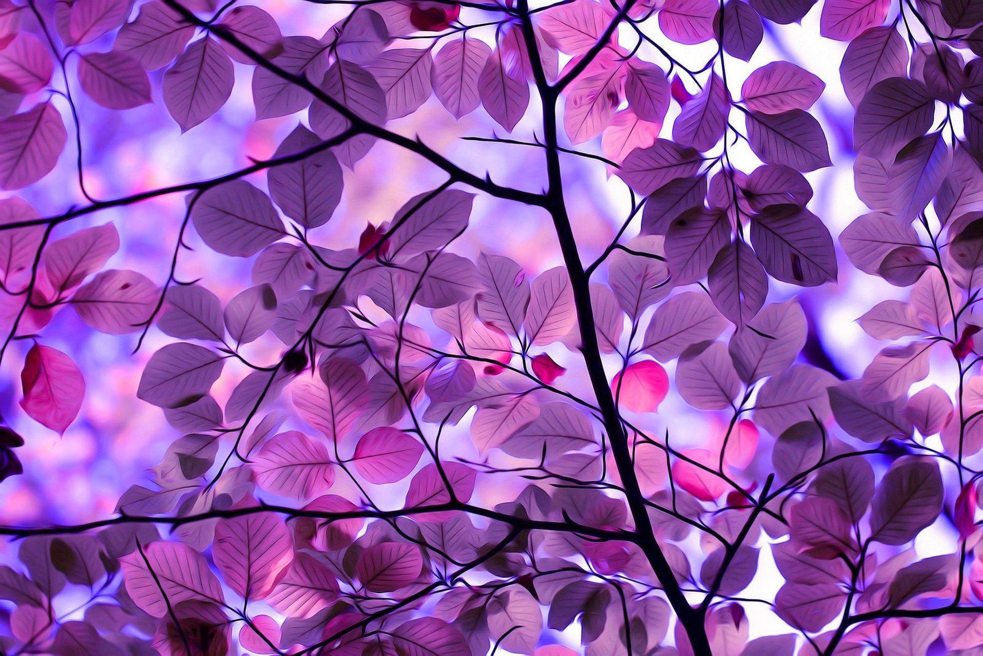 2048X1366 Purple Wallpaper and Background