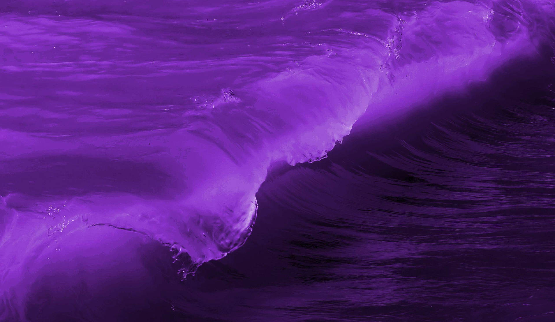 2560X1487 Purple Wallpaper and Background