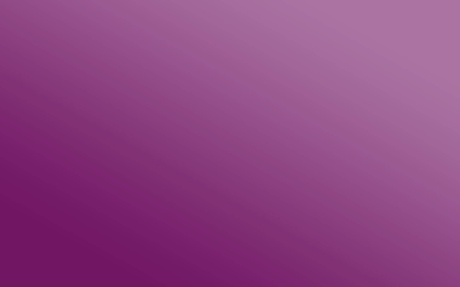Purple 2560X1600 Wallpaper and Background Image
