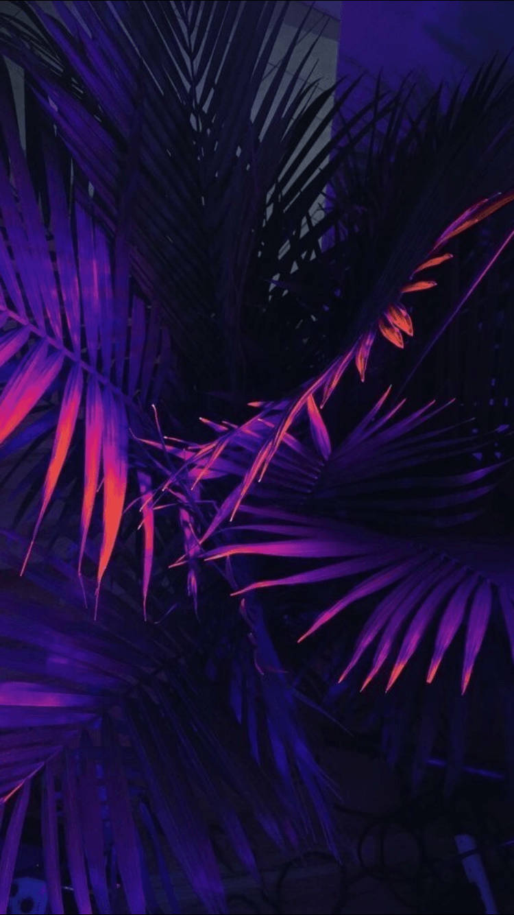 750X1334 Purple Aesthetic Wallpaper and Background