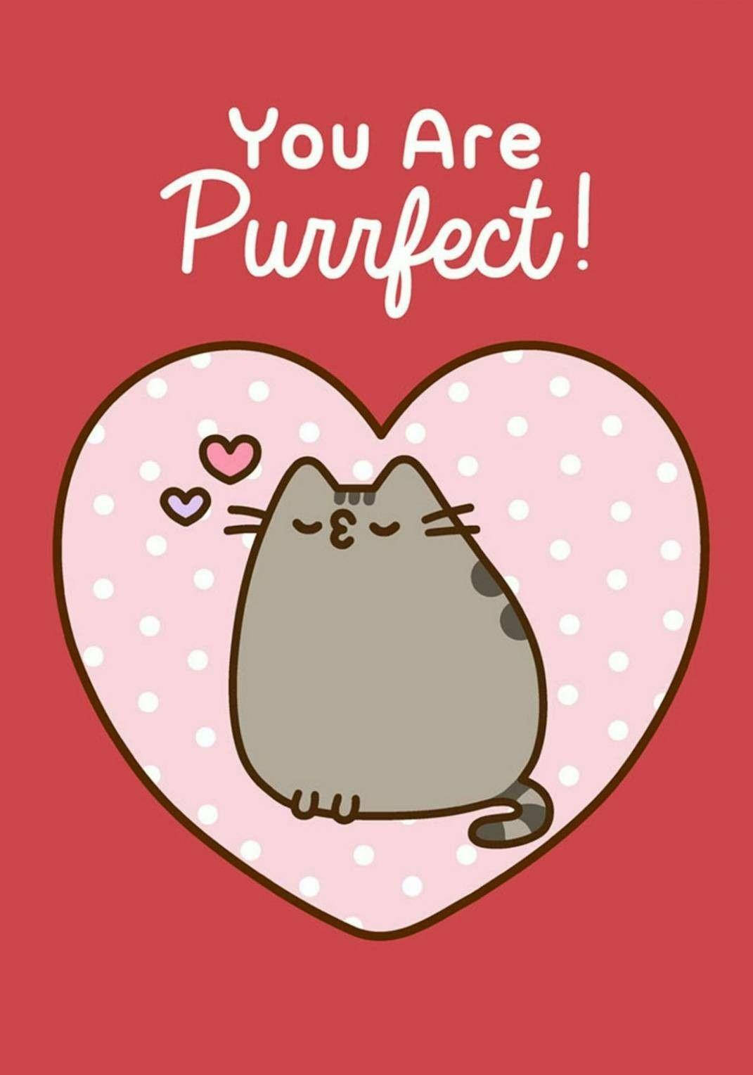 Pusheen 1071X1529 Wallpaper and Background Image