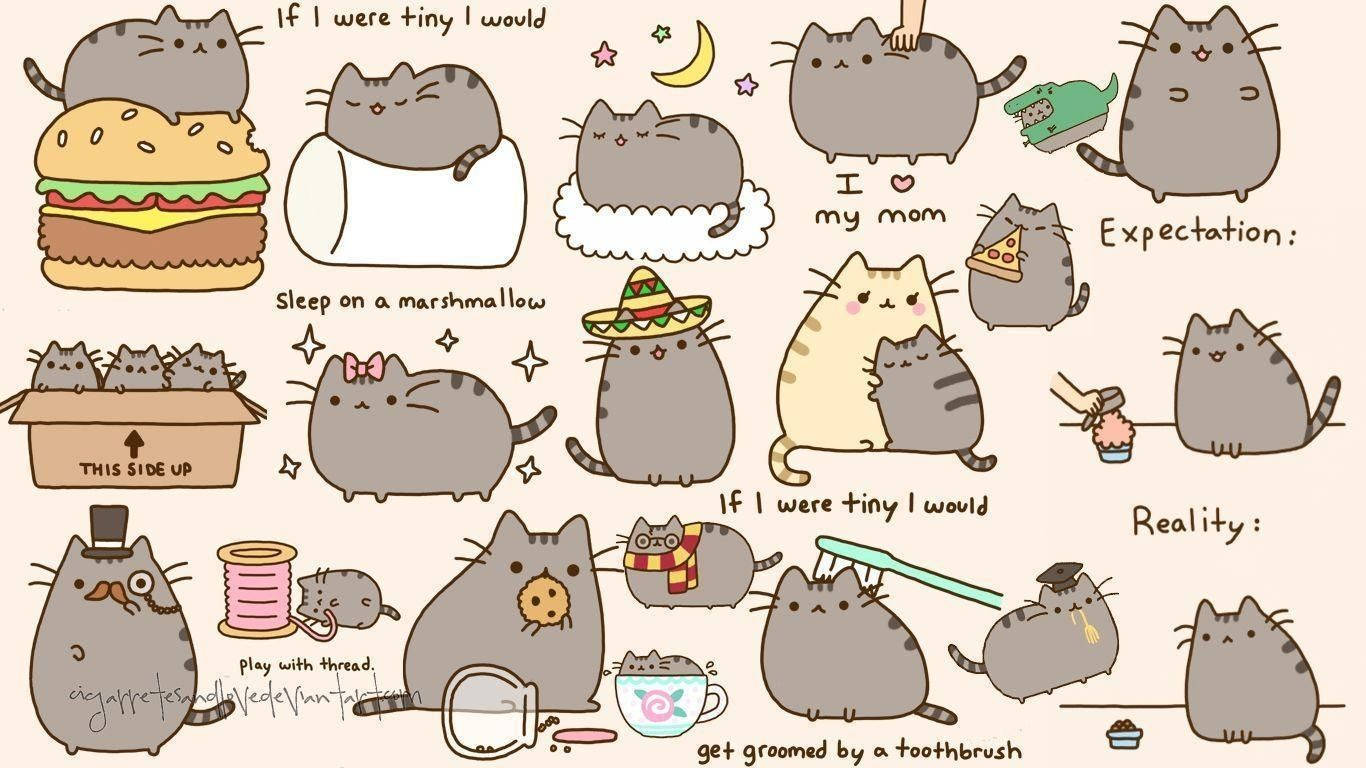 Pusheen 1366X768 Wallpaper and Background Image