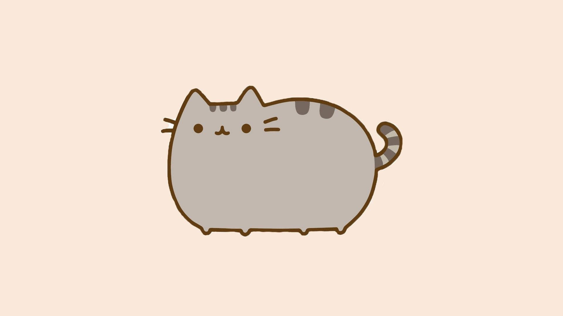 Pusheen 1920X1080 Wallpaper and Background Image