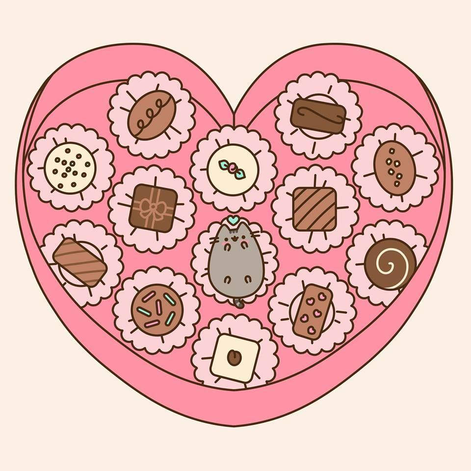 Pusheen 960X960 Wallpaper and Background Image