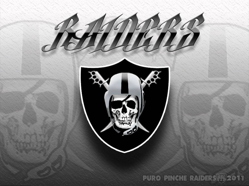 Raiders 1024X768 Wallpaper and Background Image