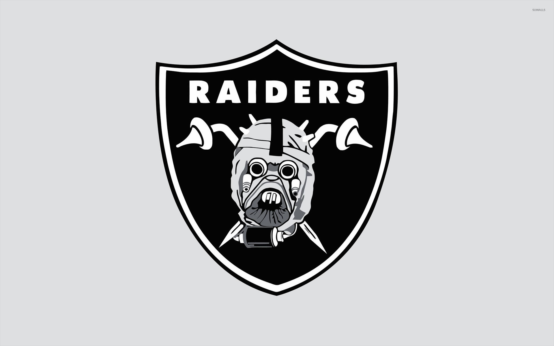 Raiders 2560X1600 Wallpaper and Background Image