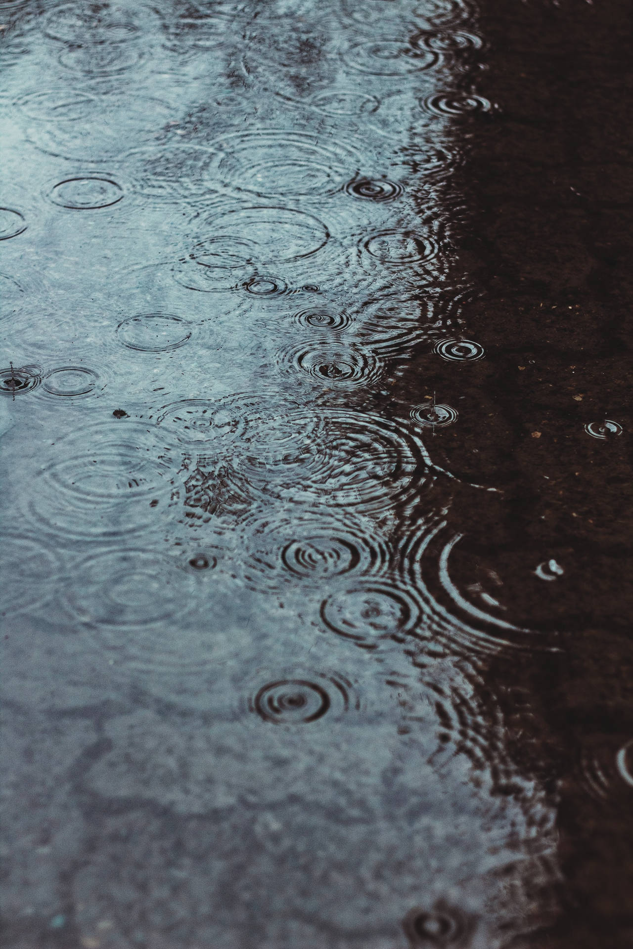 Rain 2160X3240 Wallpaper and Background Image