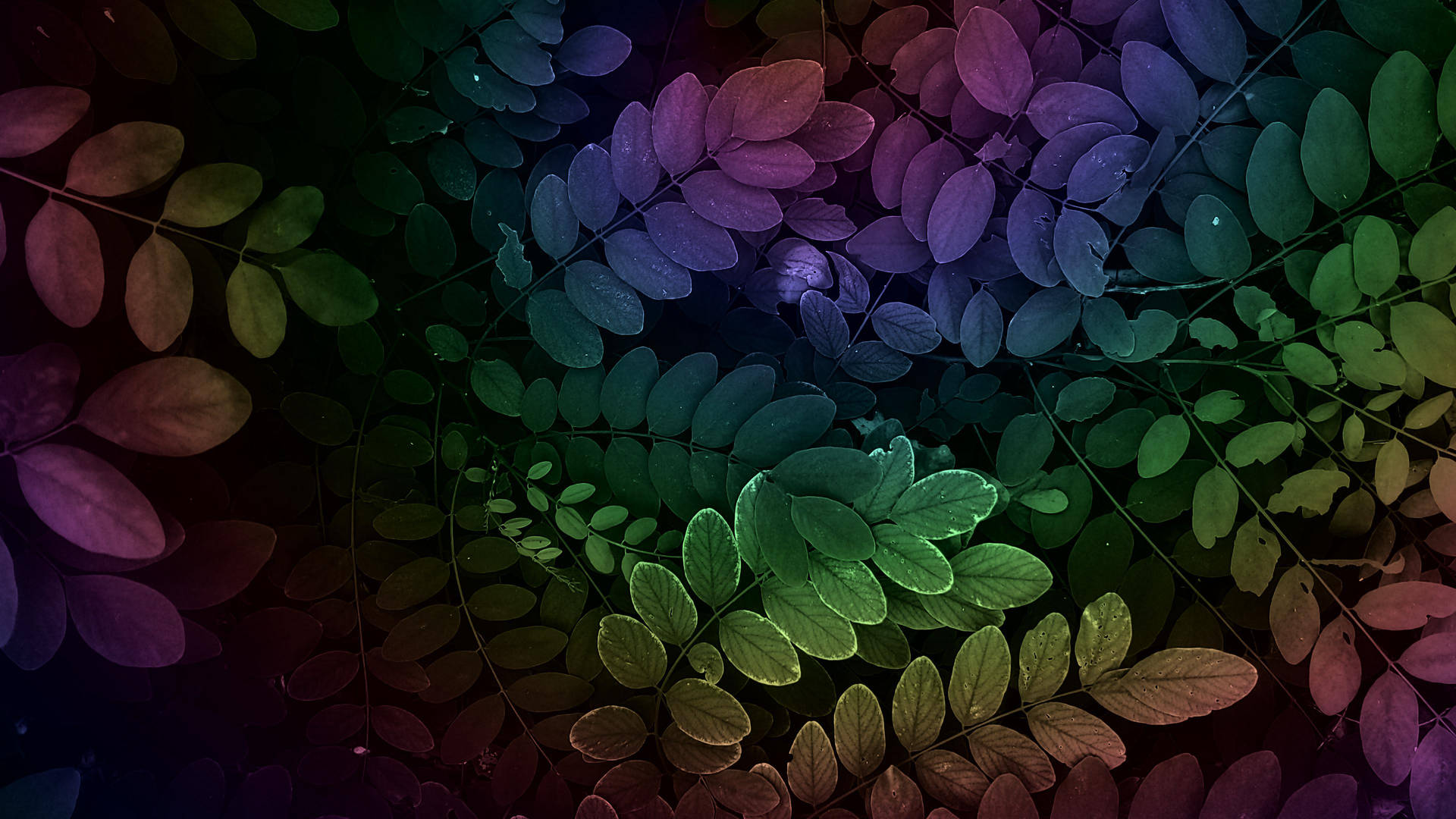 3840X2160 Rainbow Aesthetic Wallpaper and Background