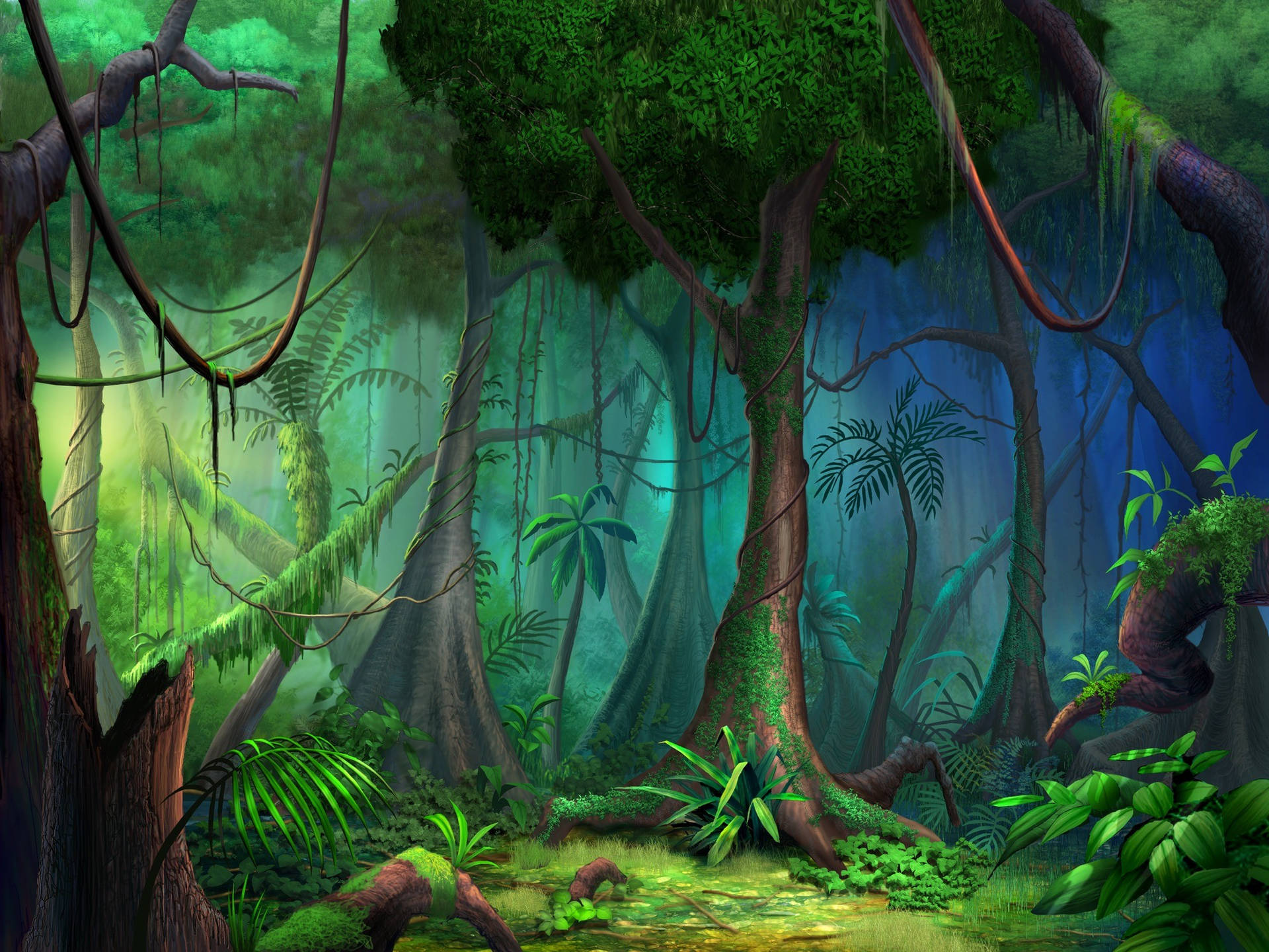 2000X1500 Rainforest Wallpaper and Background