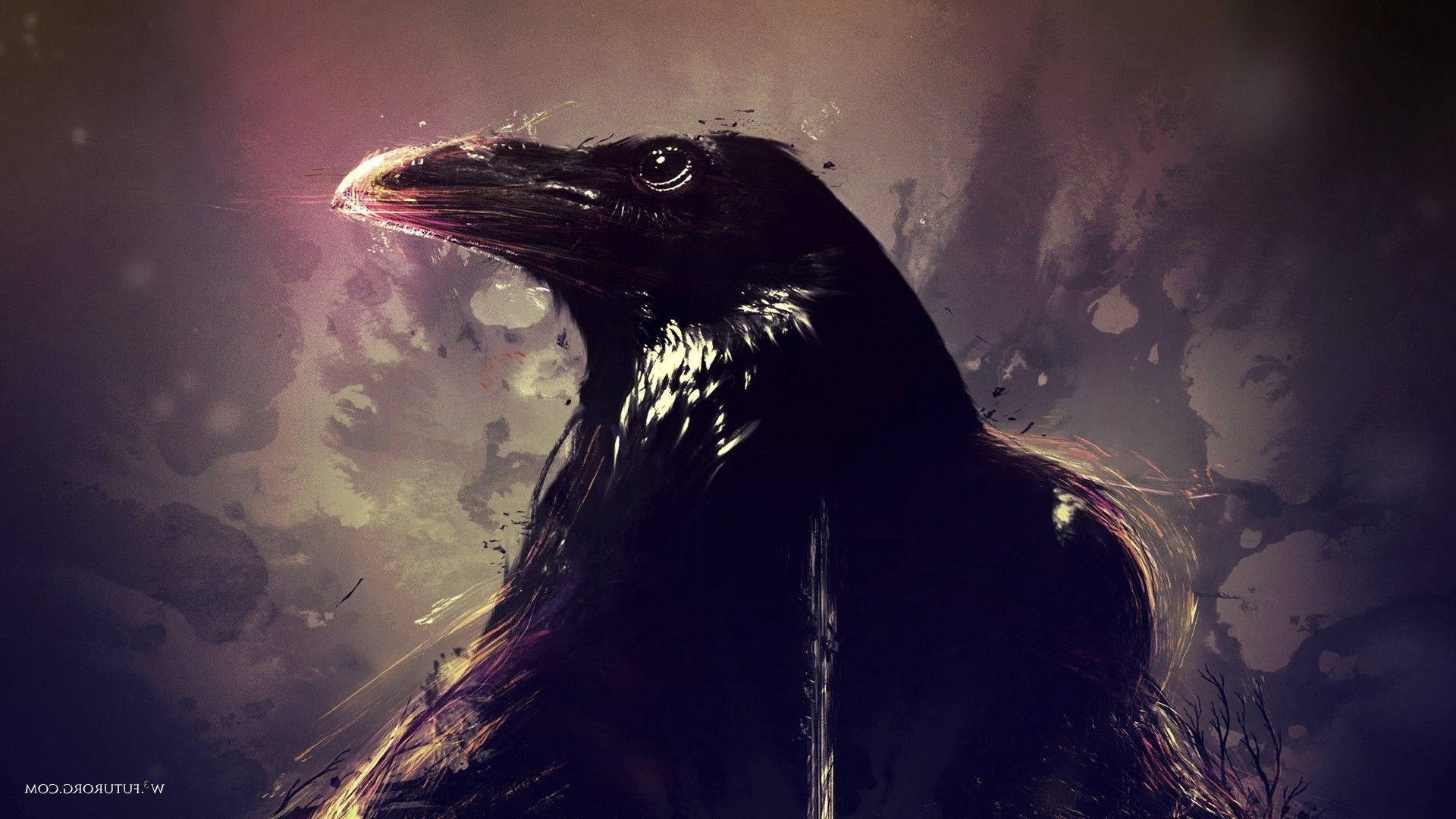 Raven 1920X1080 Wallpaper and Background Image