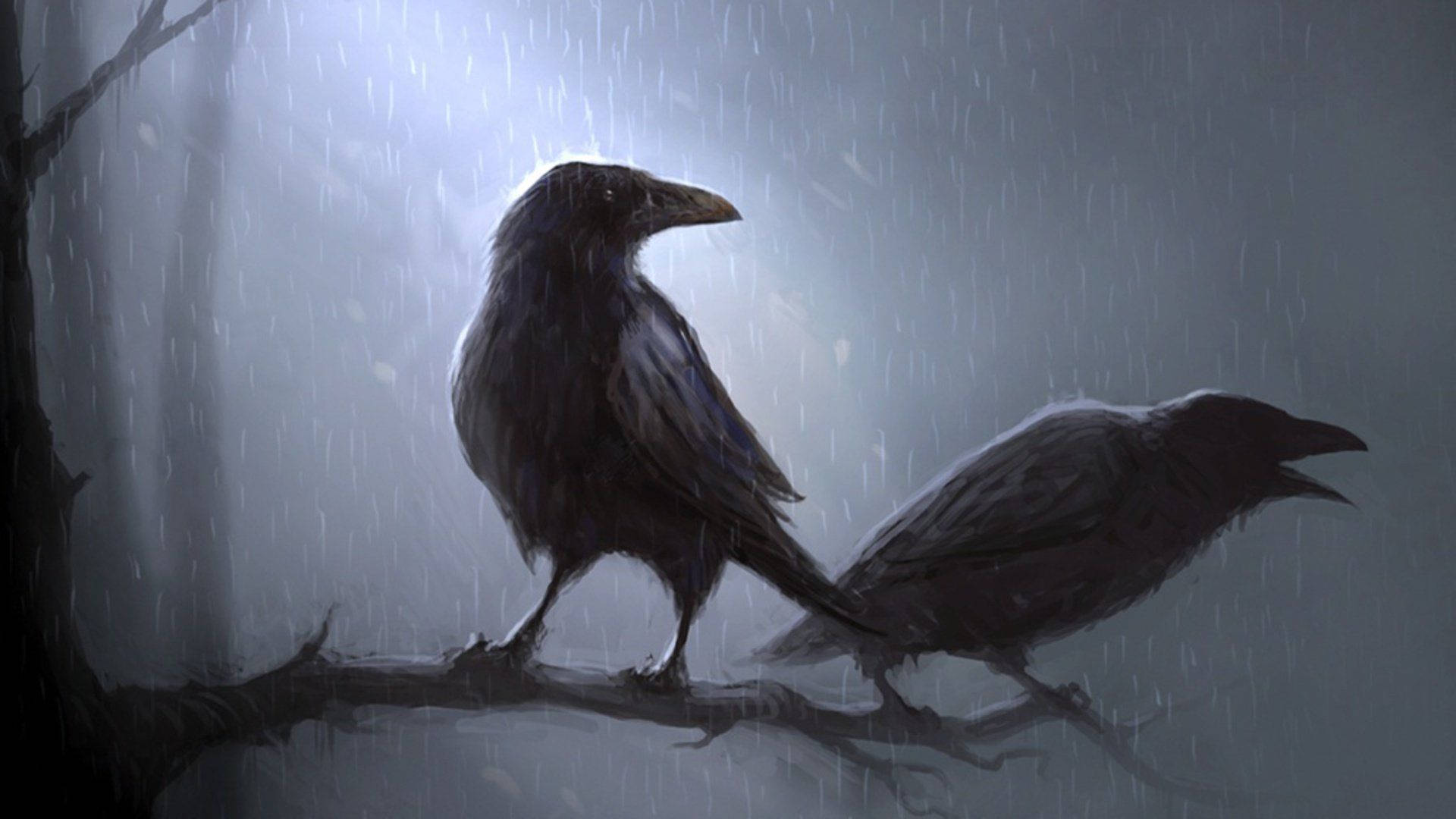 Raven 1920X1080 Wallpaper and Background Image