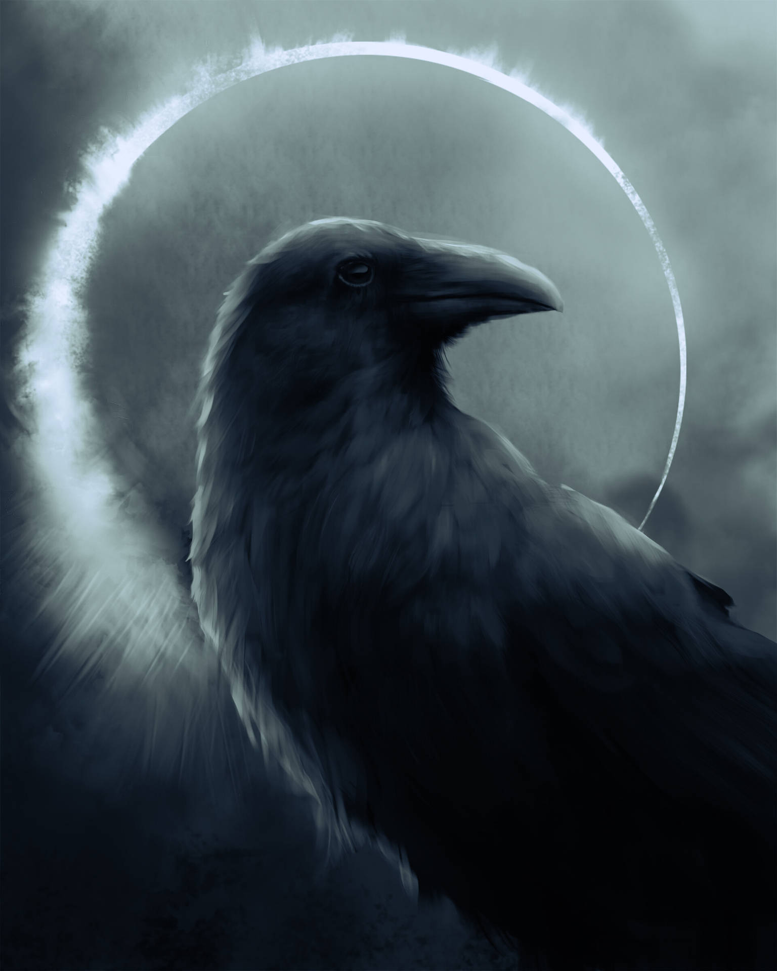 Raven 1920X2400 Wallpaper and Background Image