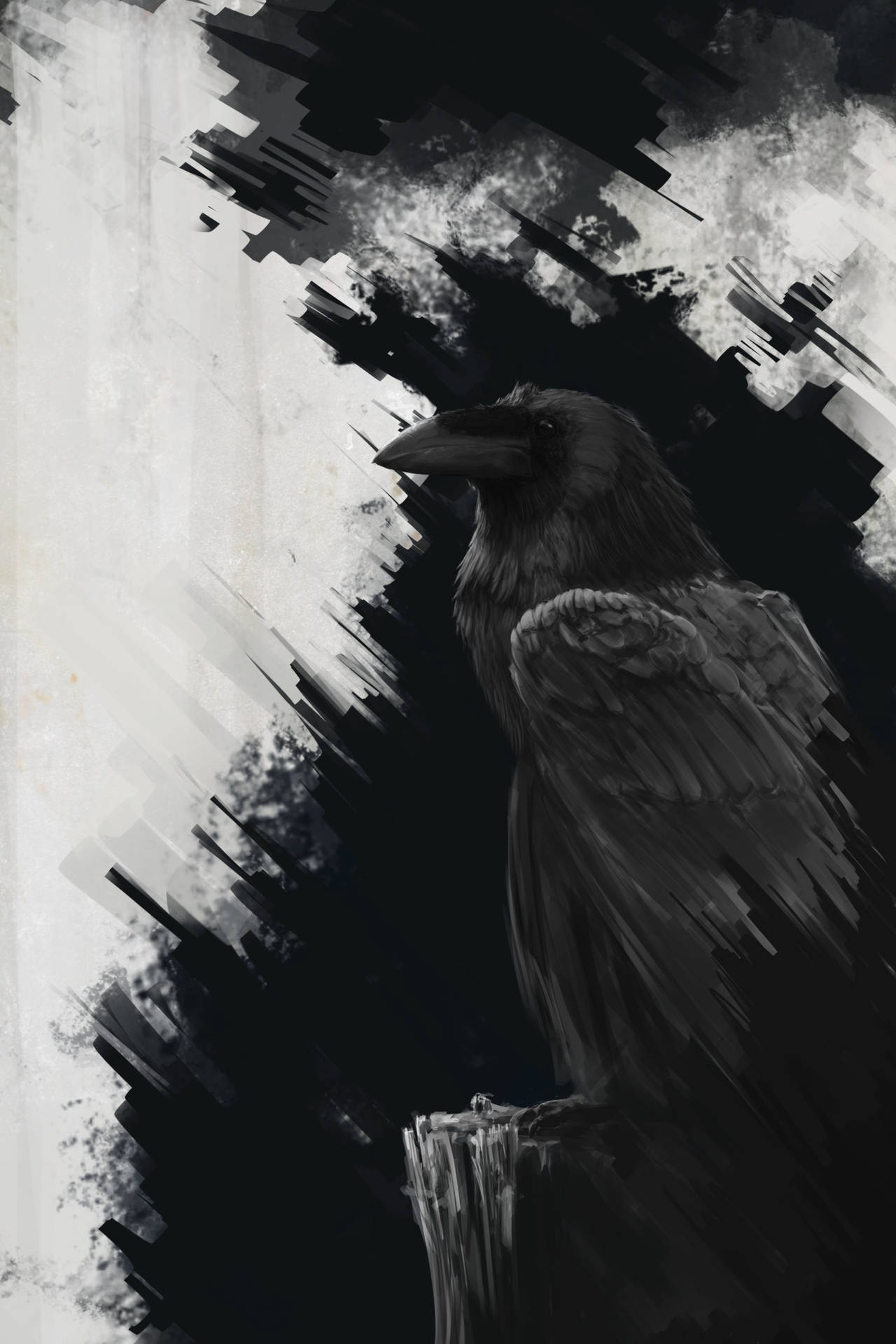 Raven 2500X3750 Wallpaper and Background Image