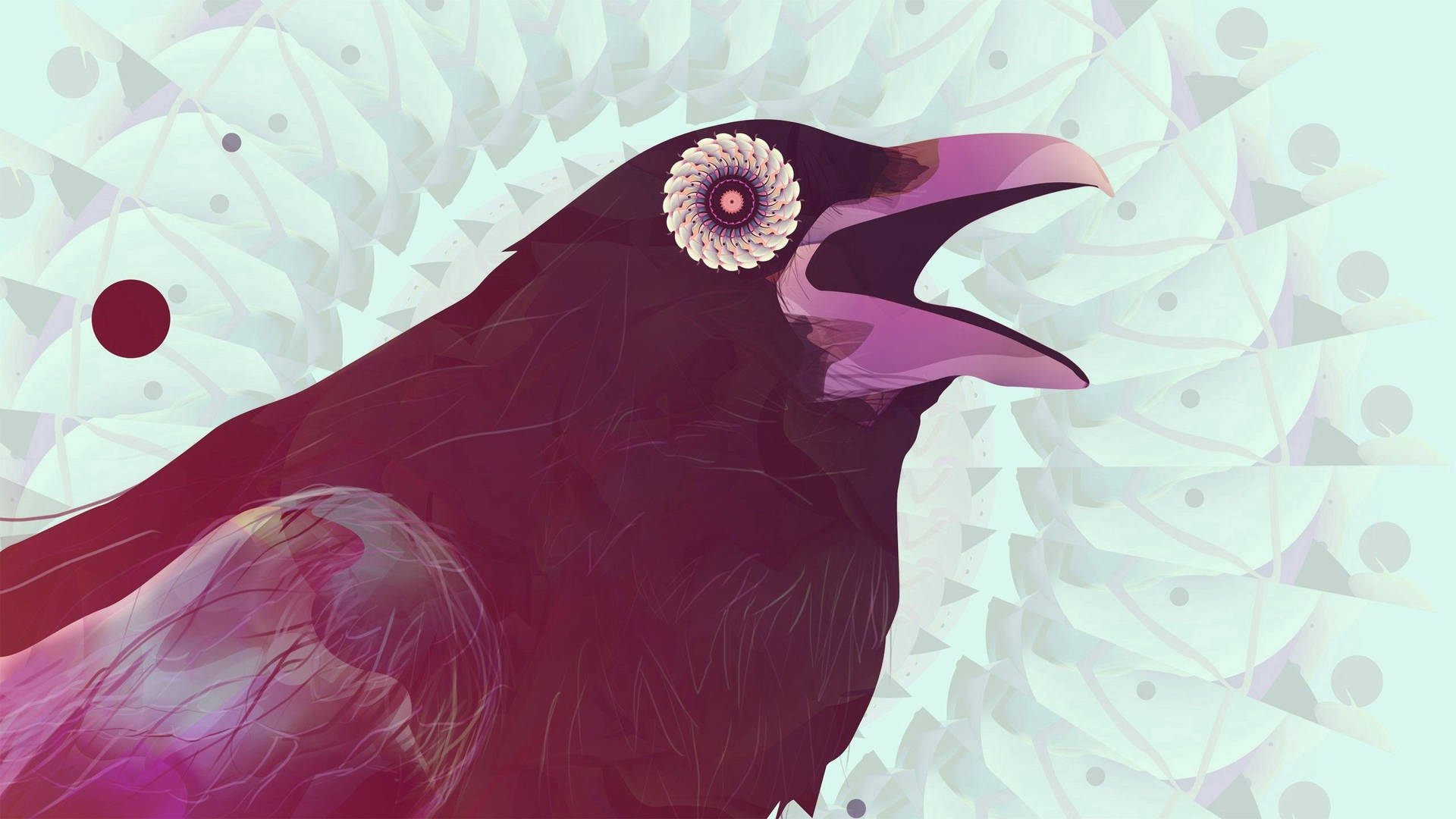 Raven 2560X1440 Wallpaper and Background Image