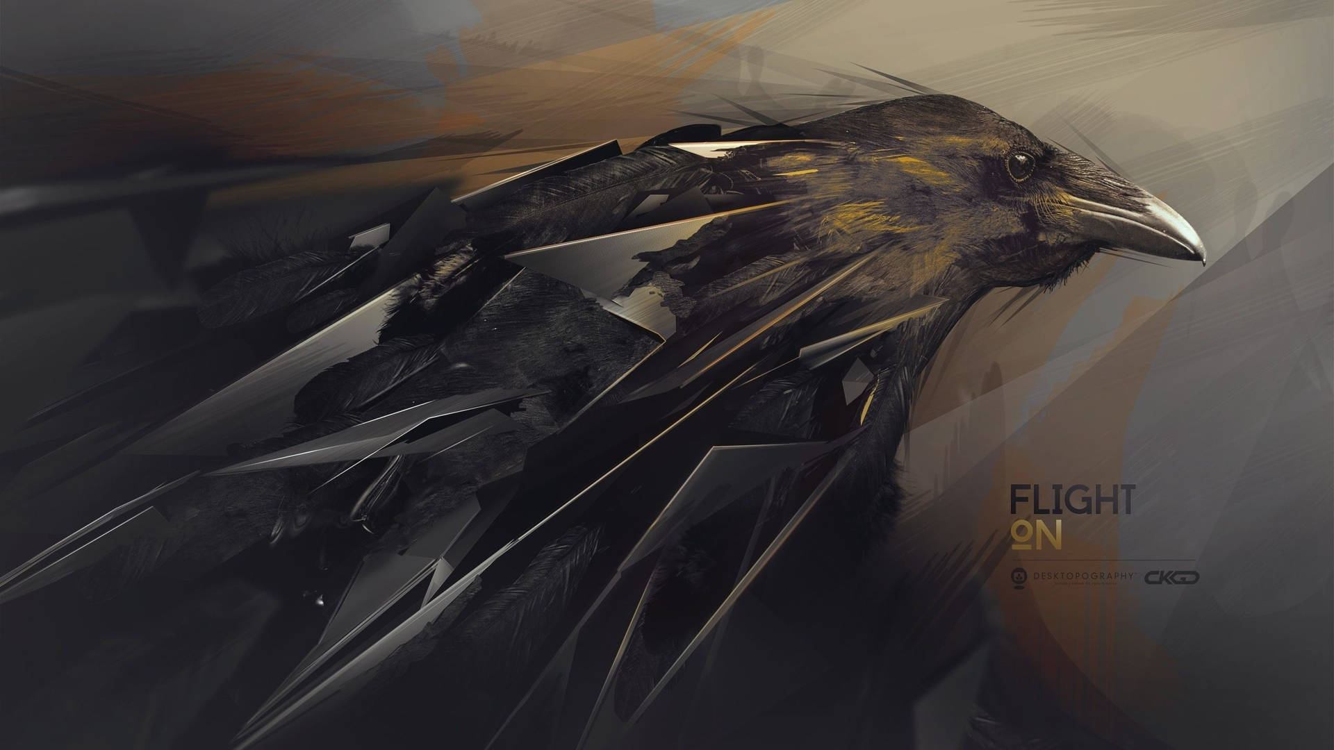 Raven 2560X1440 Wallpaper and Background Image