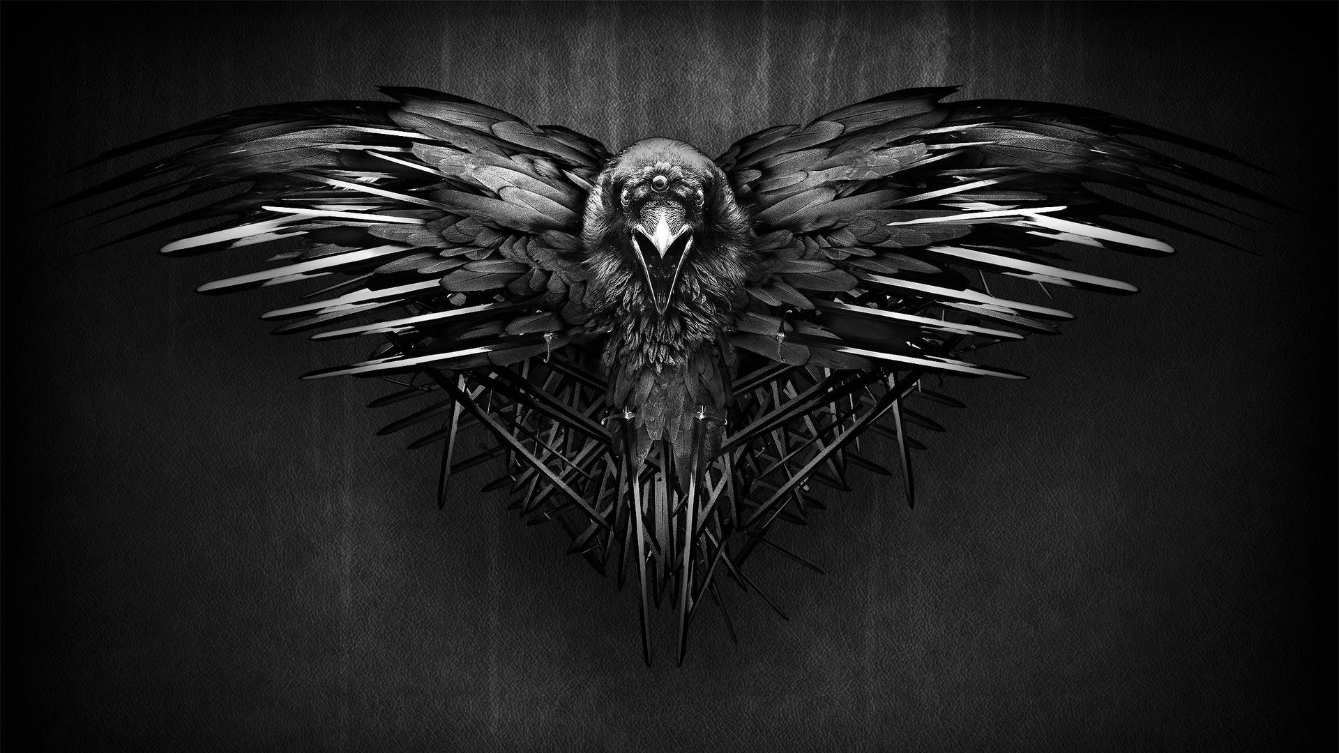 2560X1440 Raven Wallpaper and Background