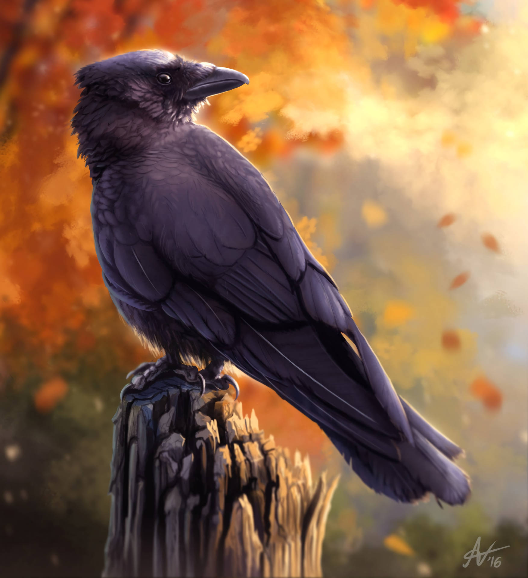 Raven 3804X4164 Wallpaper and Background Image