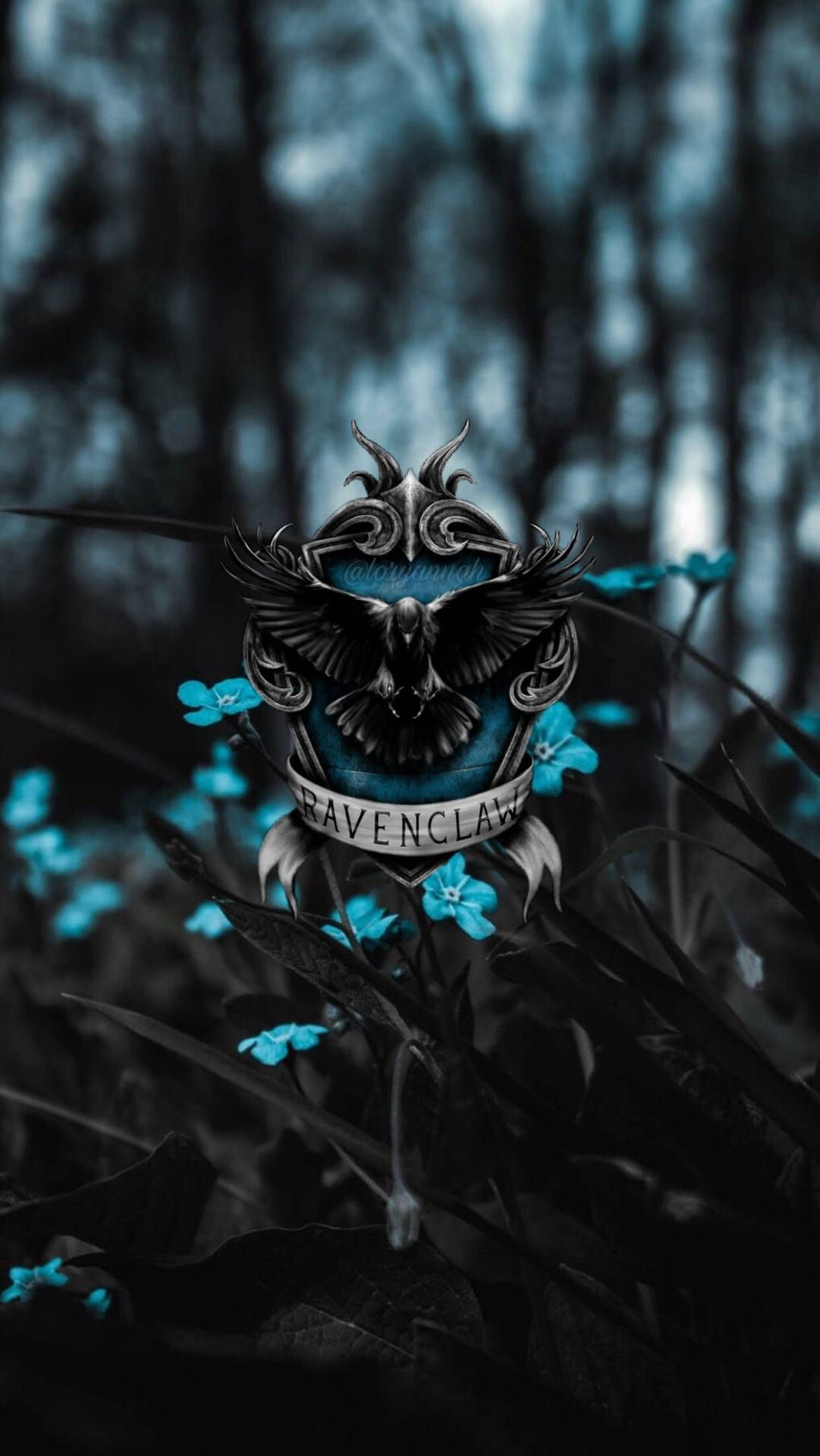 Ravenclaw 1242X2205 Wallpaper and Background Image