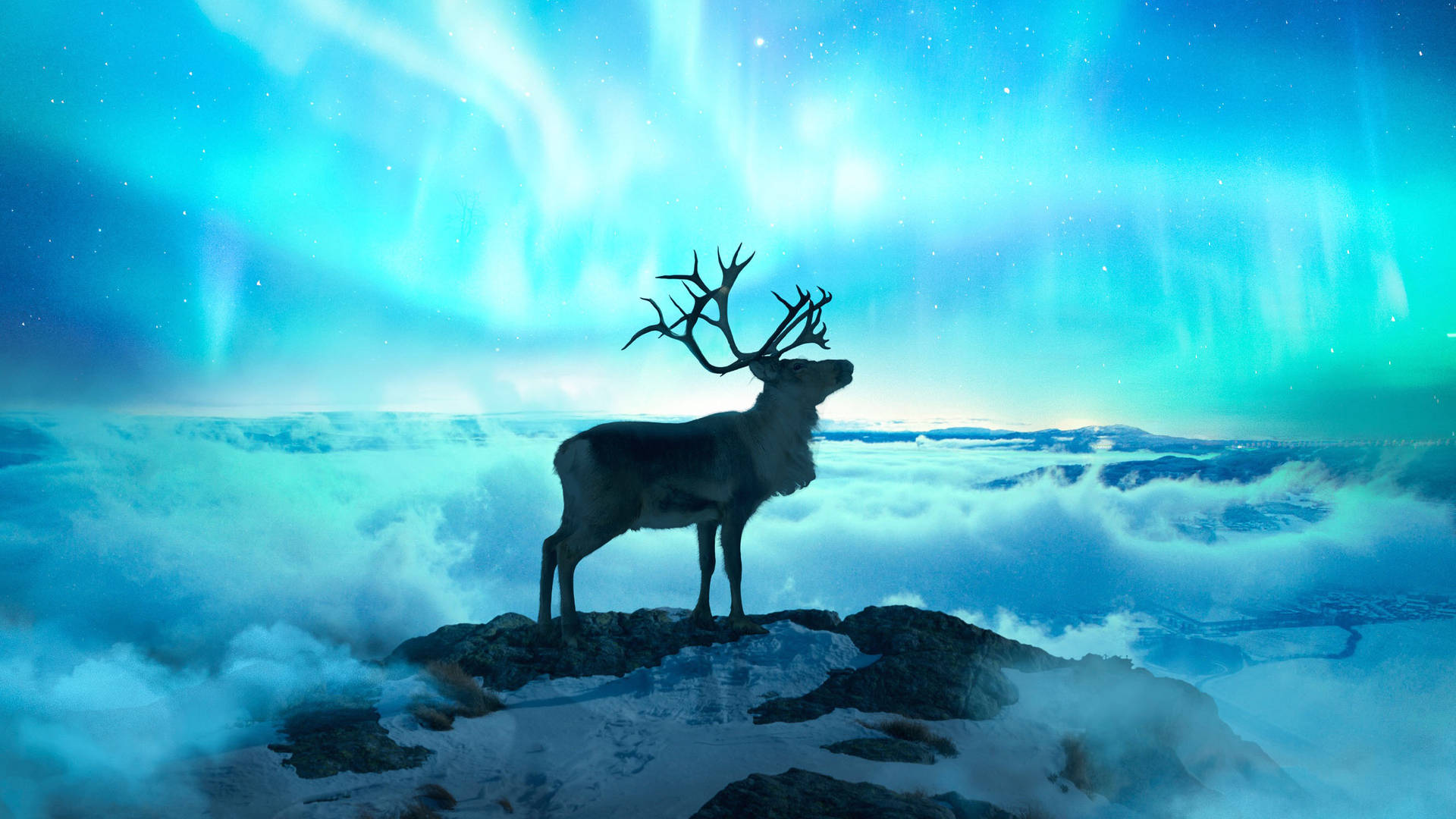 2662X1498 Reindeer Wallpaper and Background