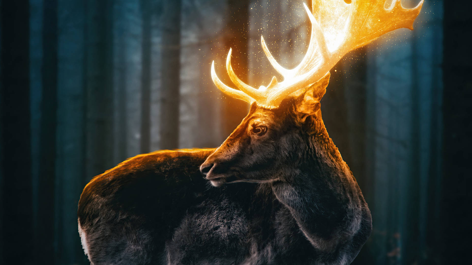 5120X2880 Reindeer Wallpaper and Background