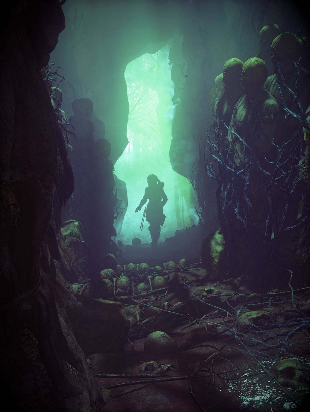 1083X1440 Rise Of The Tomb Raider Wallpaper and Background