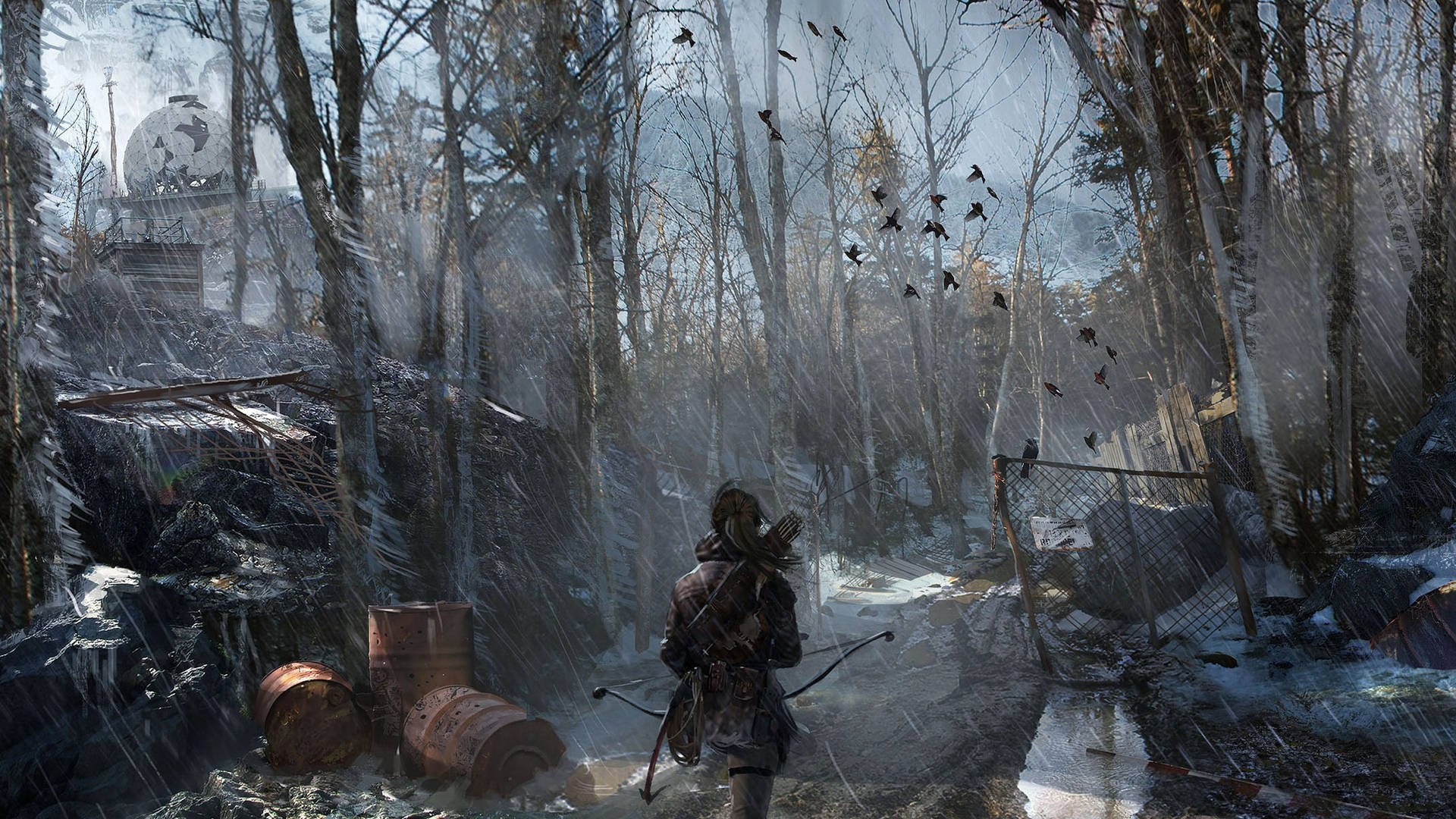 2560X1440 Rise Of The Tomb Raider Wallpaper and Background