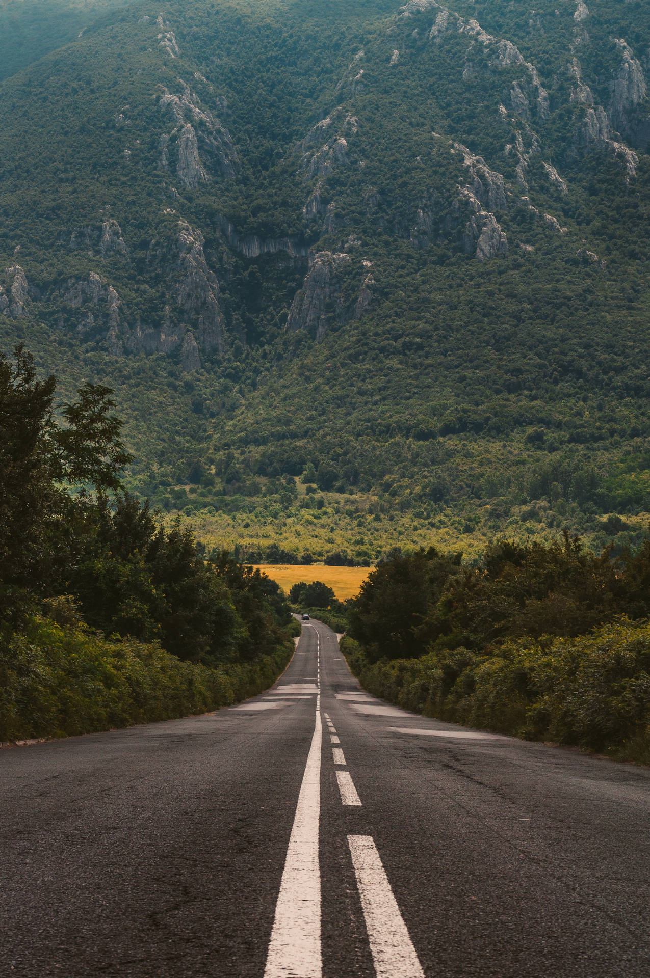 Road 2667X4015 Wallpaper and Background Image