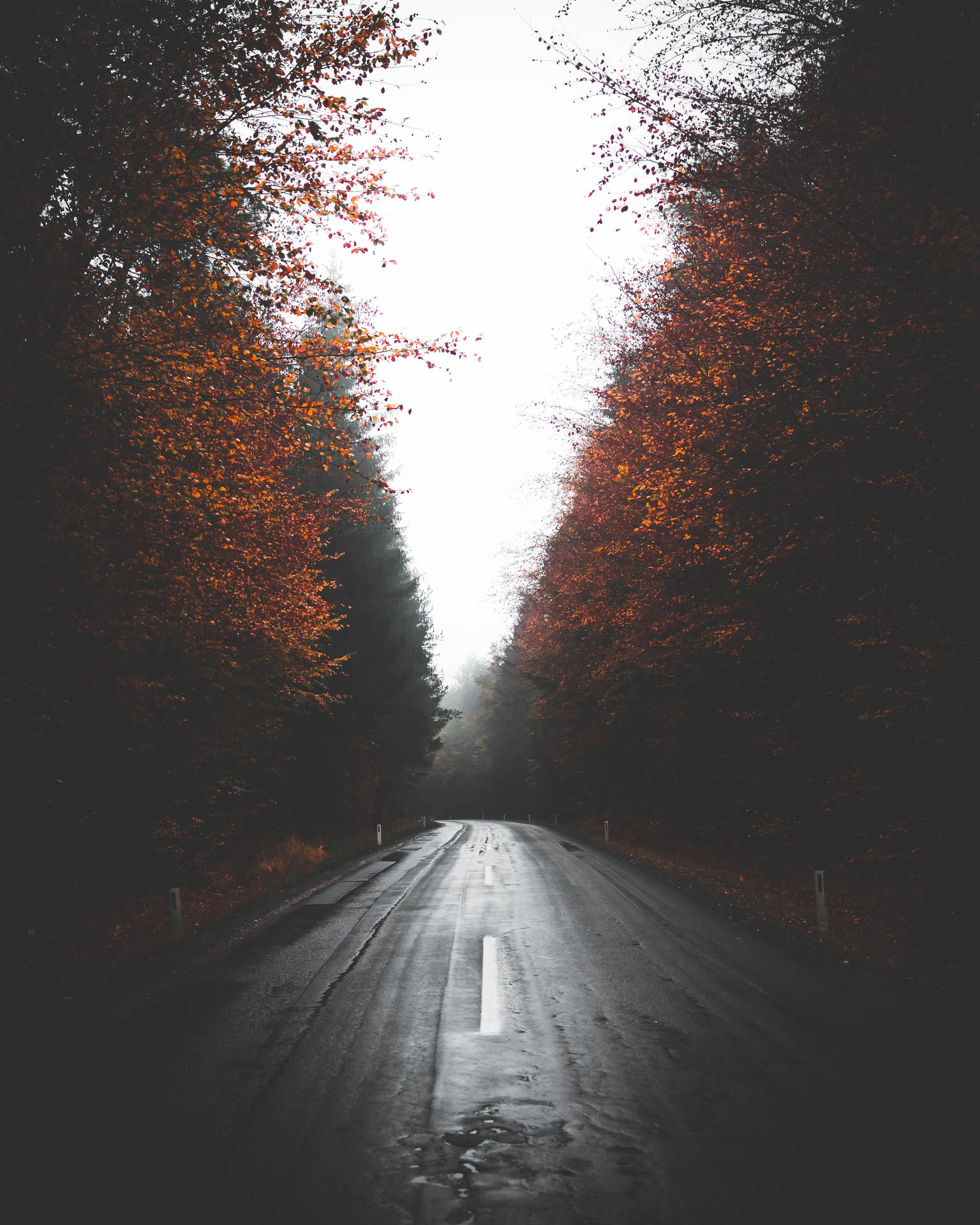 Road 3200X4000 Wallpaper and Background Image