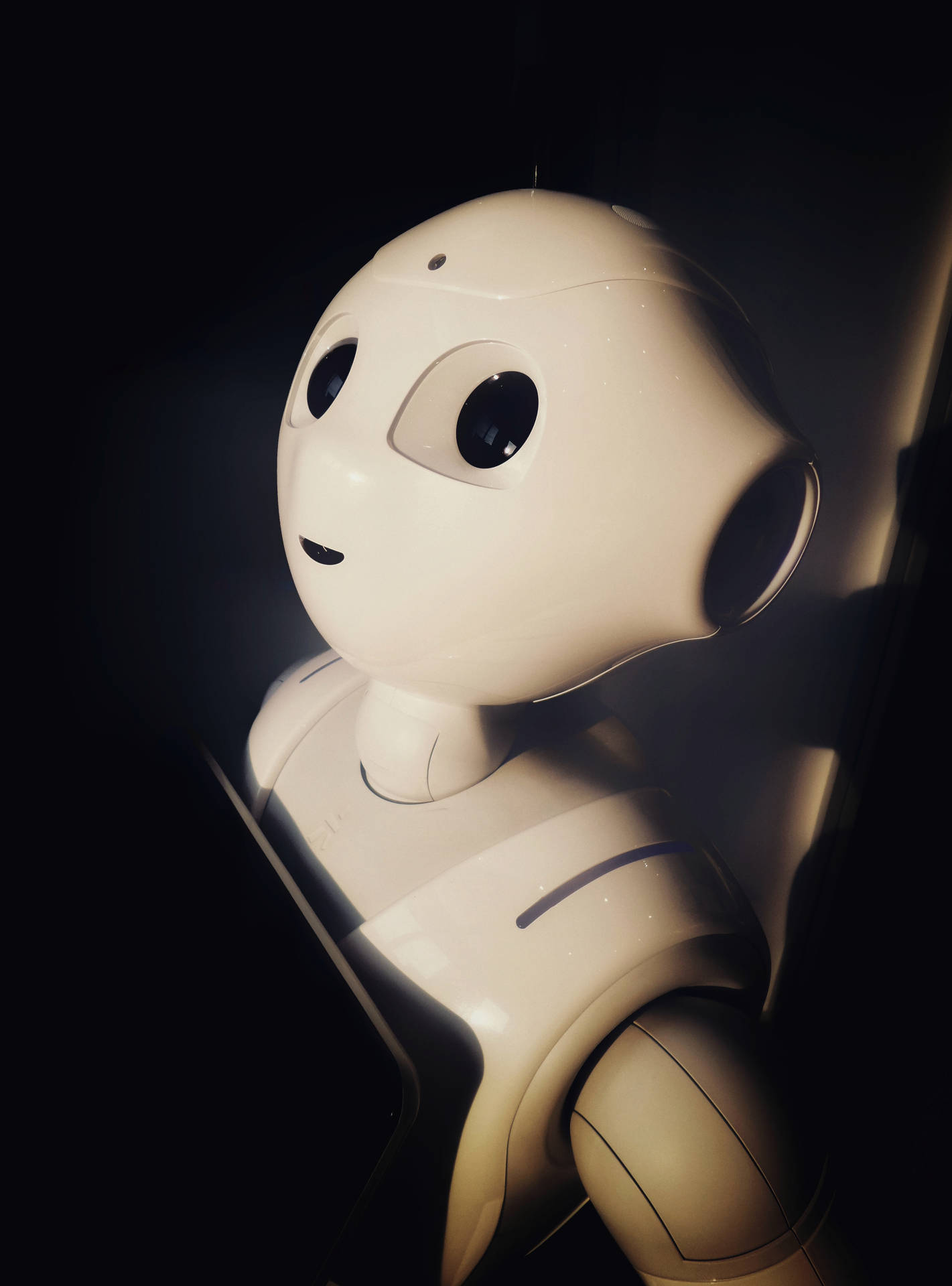 Robot 3675X4964 Wallpaper and Background Image