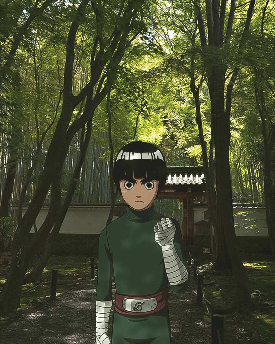 1080X1350 Rock Lee Wallpaper and Background