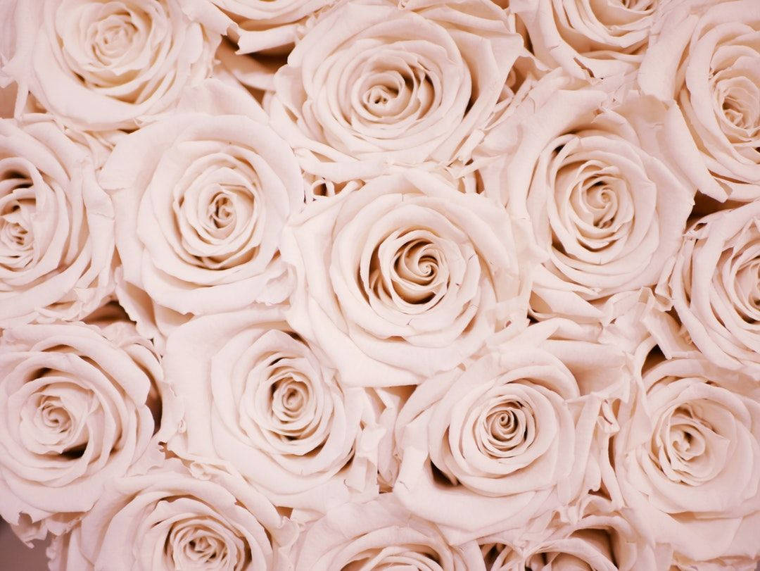 1080X811 Rose Gold Wallpaper and Background