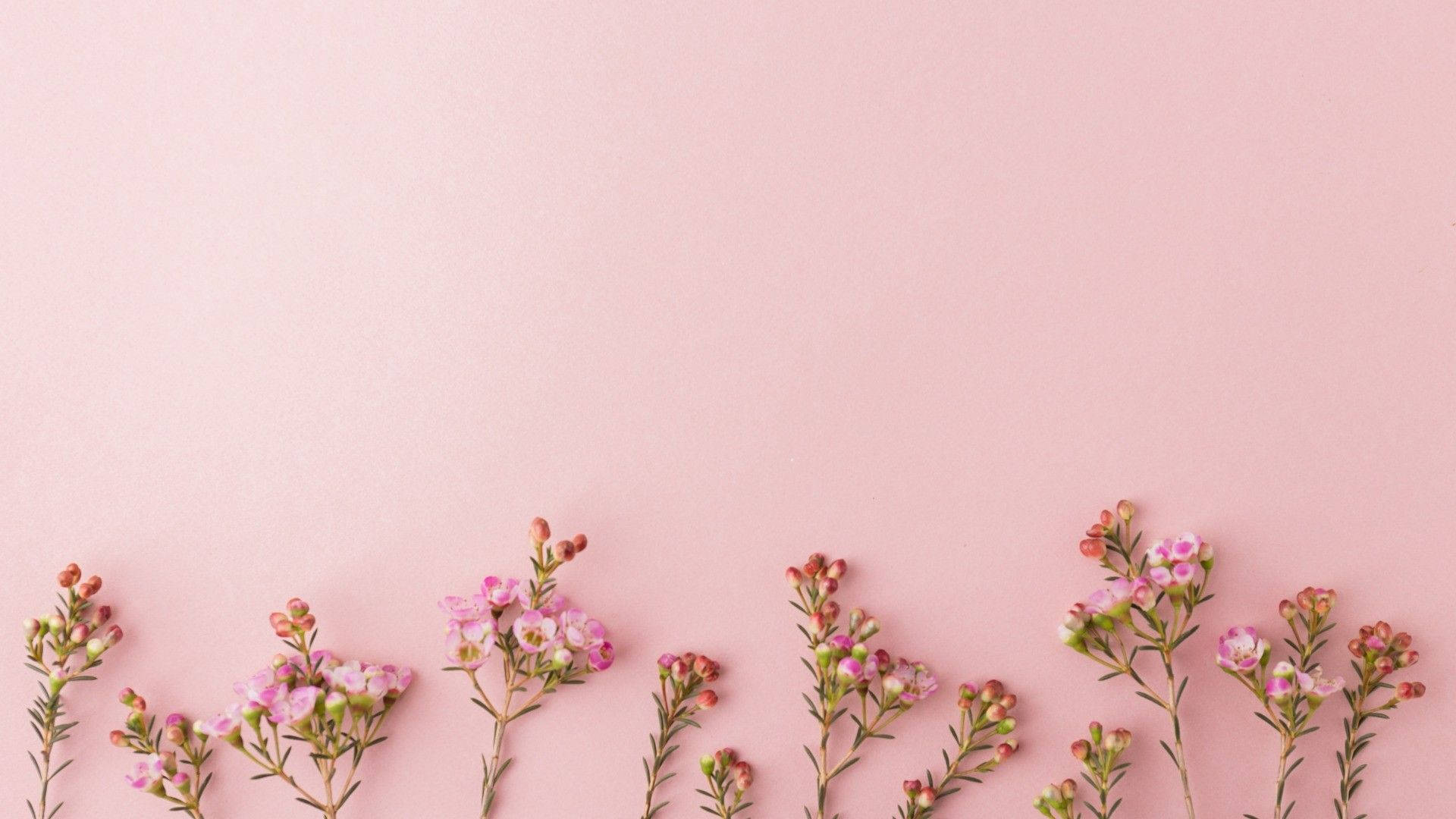 1920X1080 Rose Gold Wallpaper and Background
