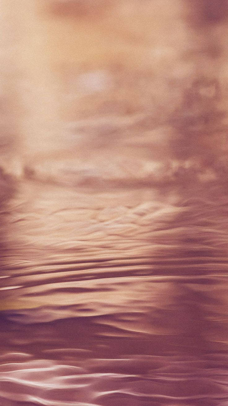 736X1308 Rose Gold Wallpaper and Background
