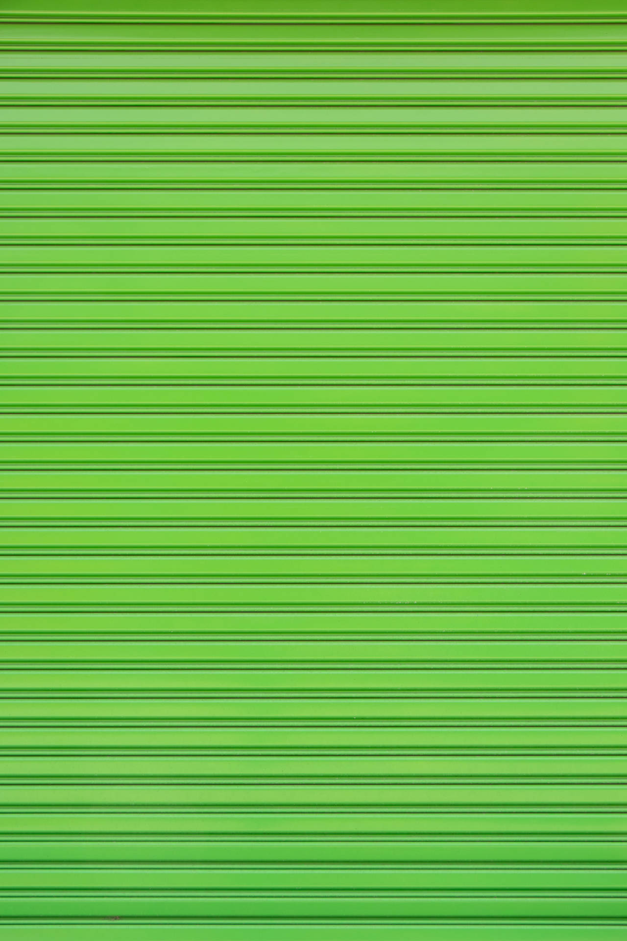 Sage Green 4000X6000 wallpaper