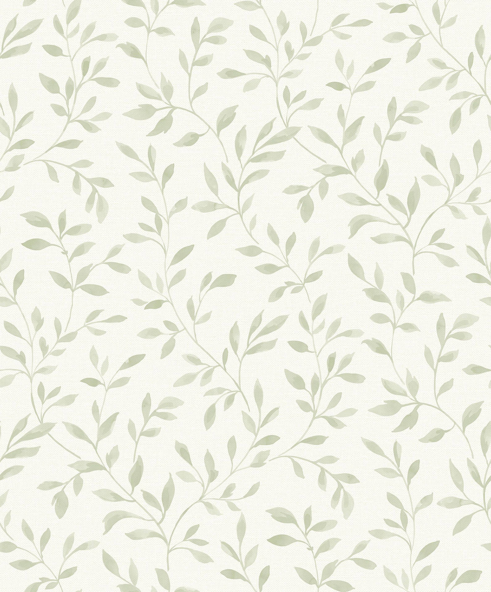 Sage Green Aesthetic 2000X2415 Wallpaper and Background Image