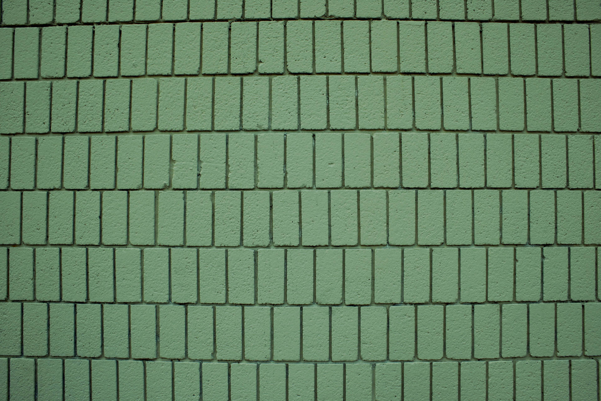 Sage Green Aesthetic 3888X2592 wallpaper