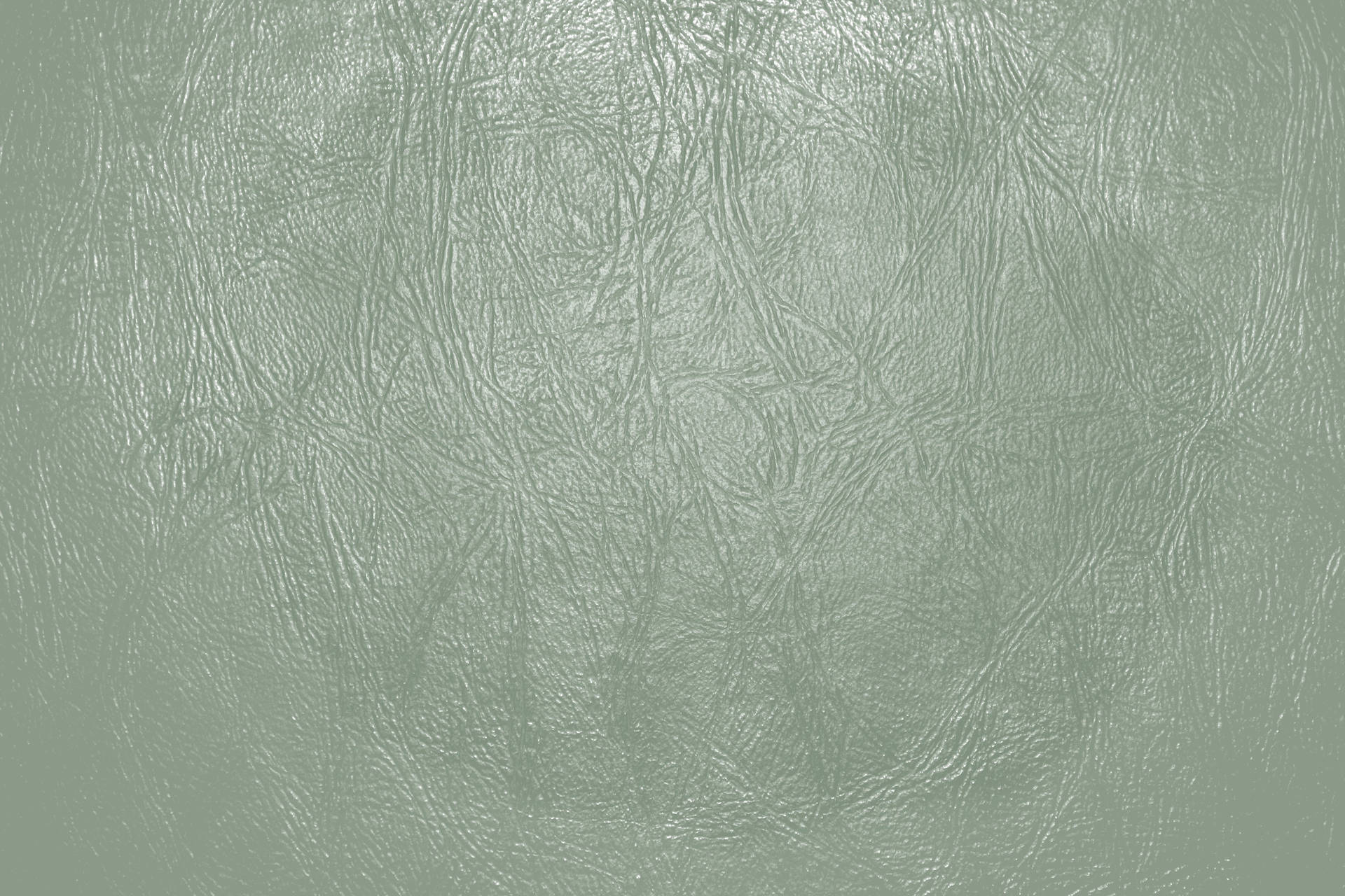 3888X2592 Sage Green Aesthetic Wallpaper and Background