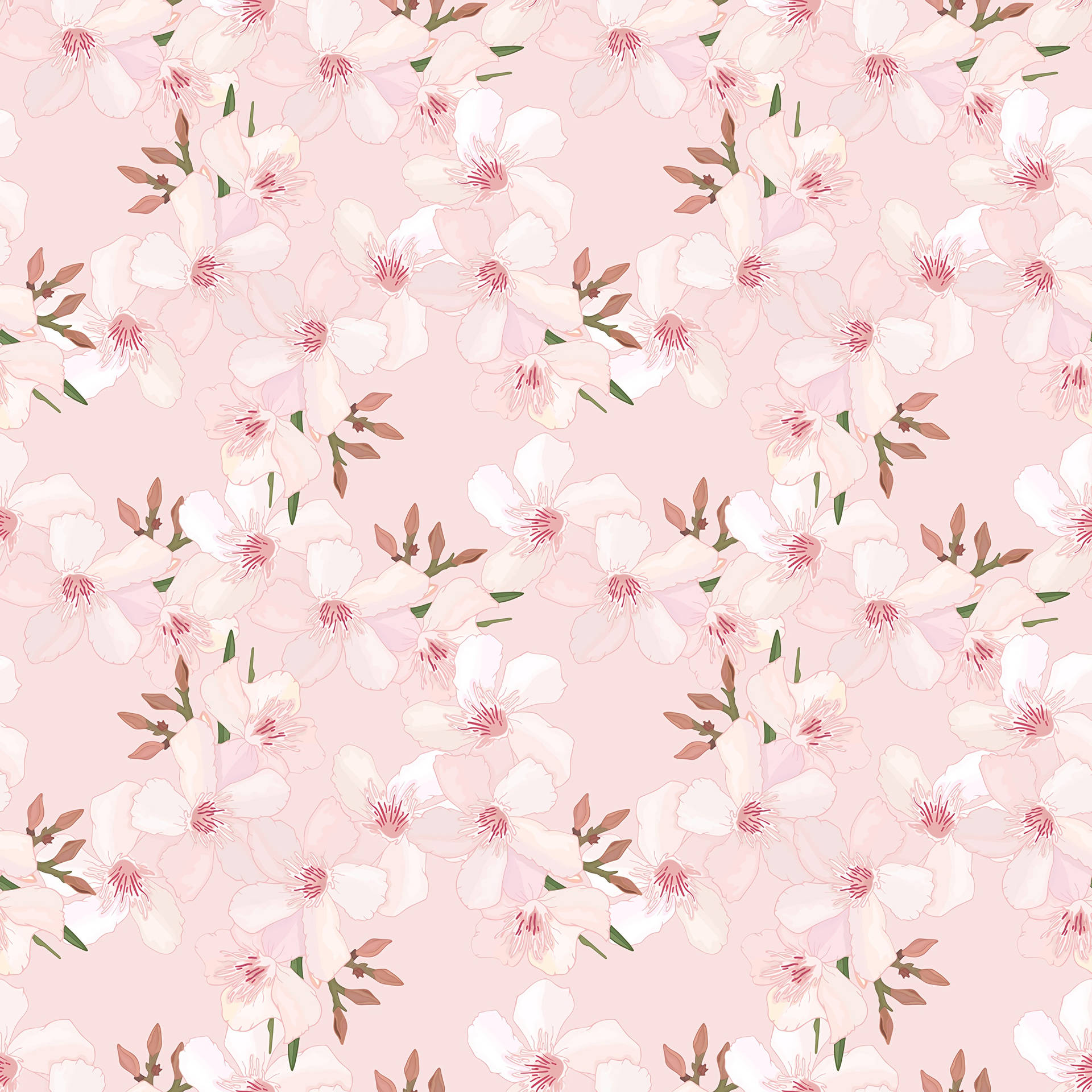 2800X2800 Sakura Wallpaper and Background