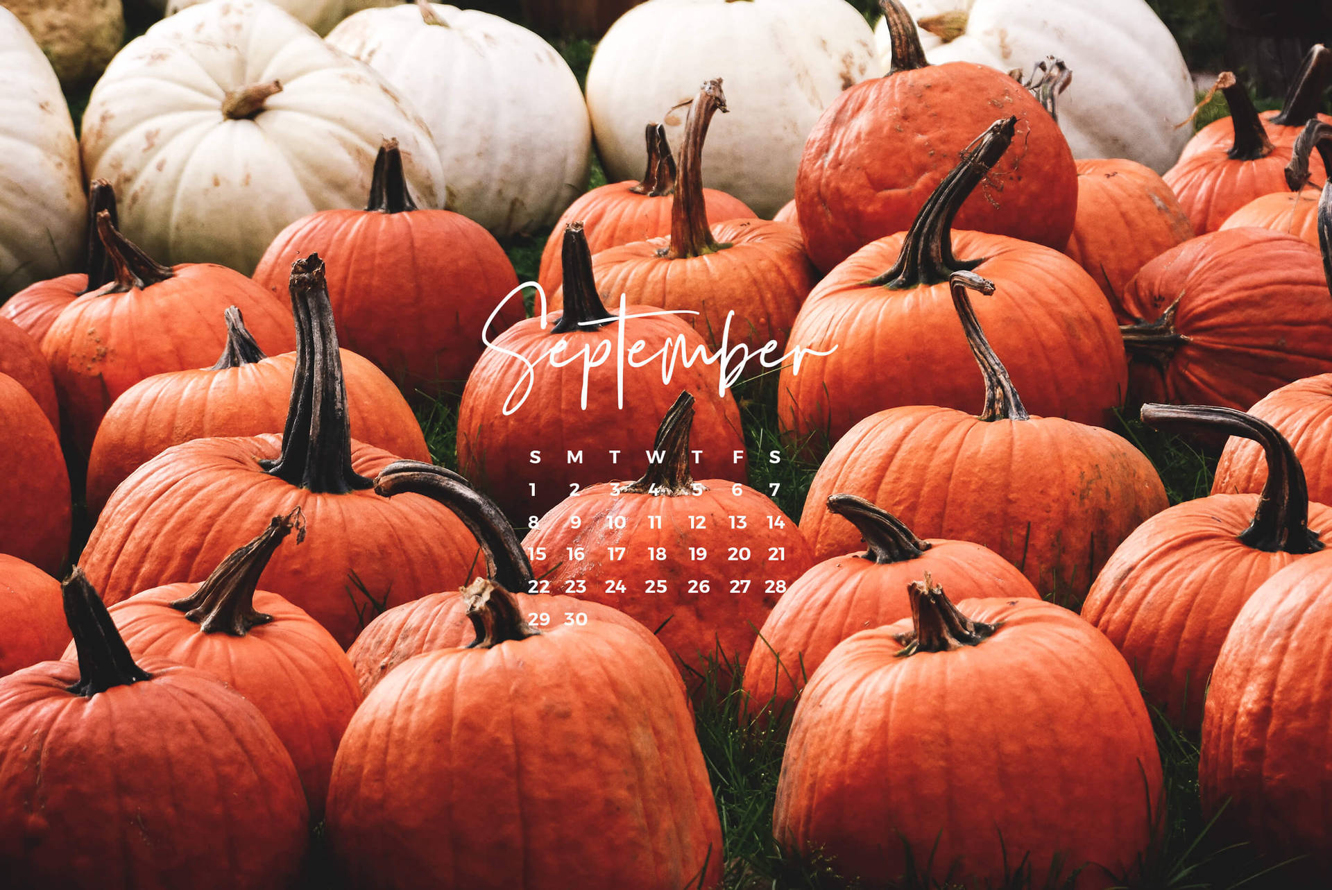 September 2735X1827 Wallpaper and Background Image