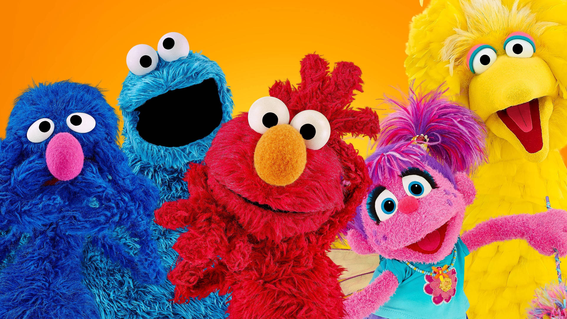 Sesame Street 3840X2160 Wallpaper and Background Image