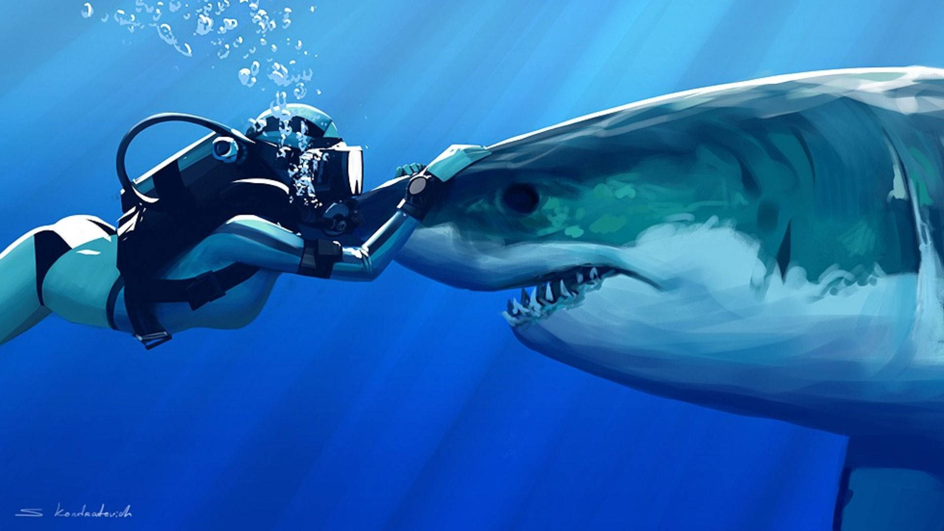Shark 1920X1080 Wallpaper and Background Image