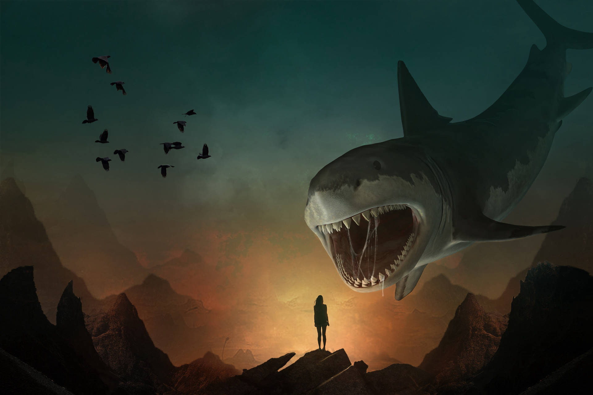 Shark 4863X3240 Wallpaper and Background Image