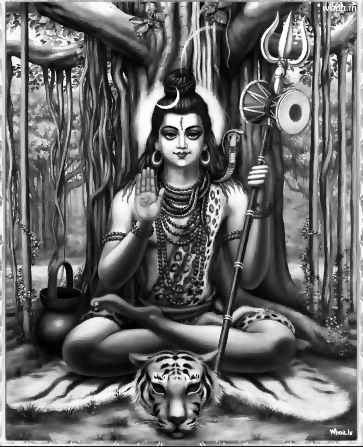 1242X1529 Shiva Wallpaper and Background