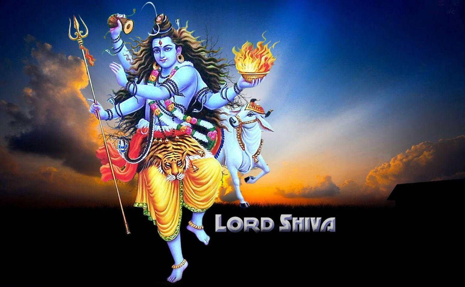 1548X954 Shiva Wallpaper and Background