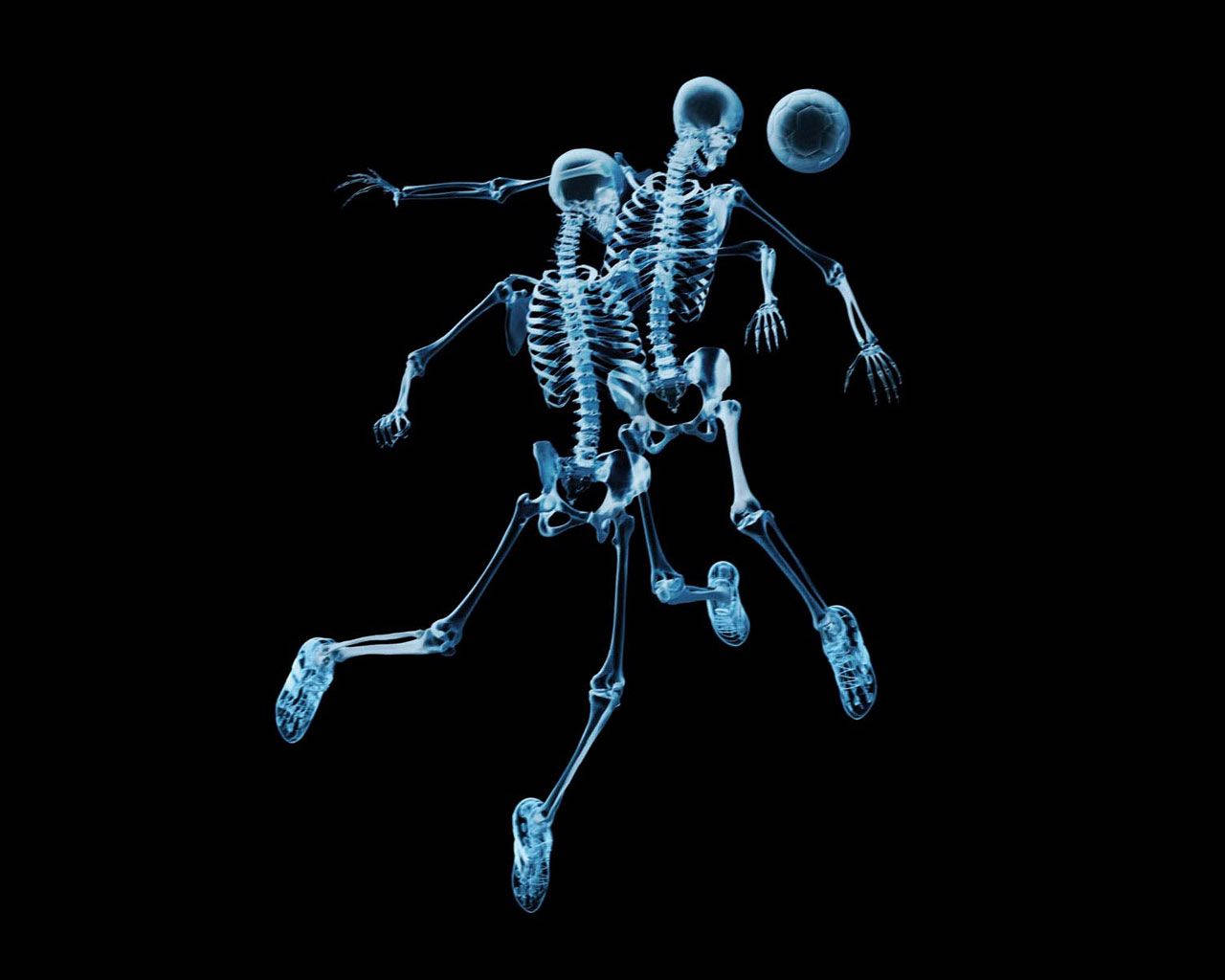 Skeleton 1280X1024 Wallpaper and Background Image